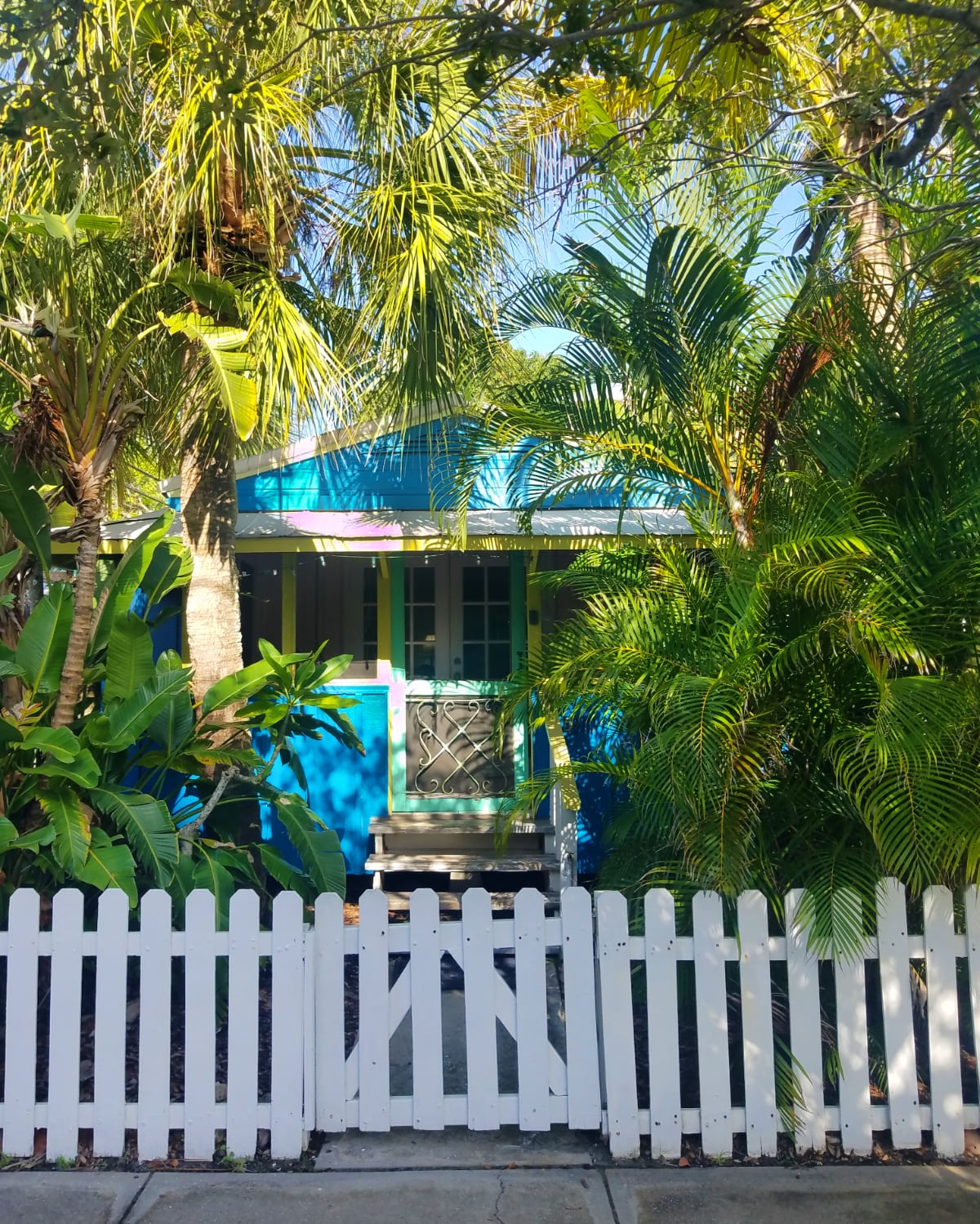 Beach Palms Blue Dolphin cottage