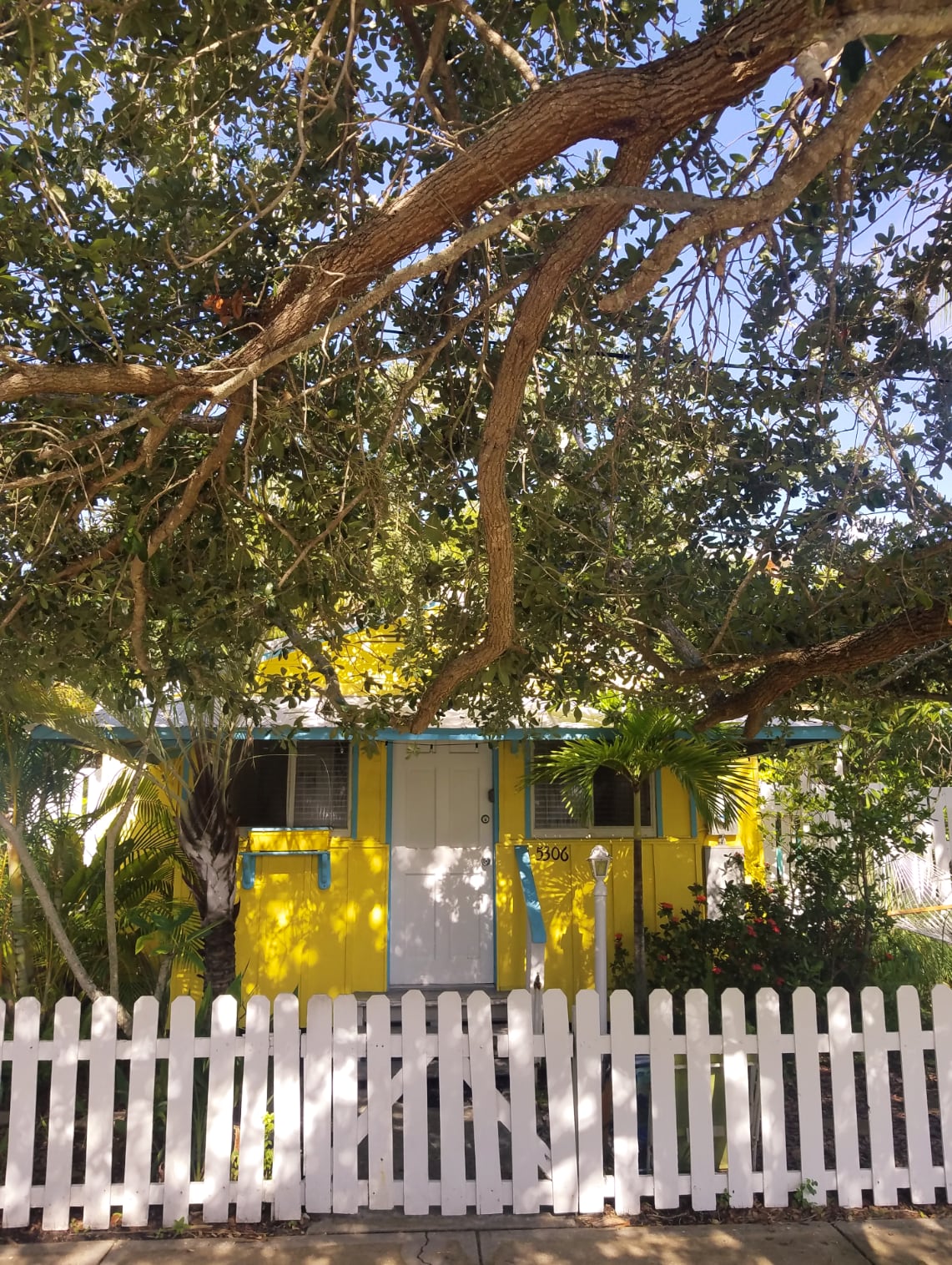 Beach Palms Yellow Palm Cottage Siesta Key