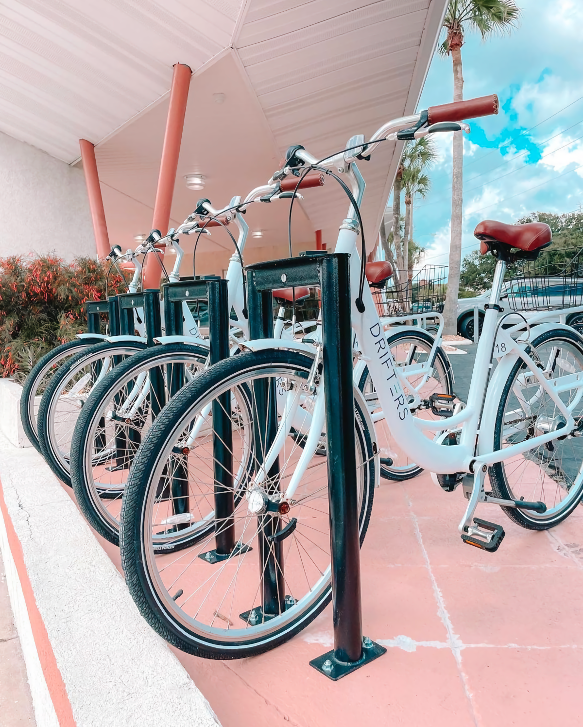 The Local - St. Augustine Drifter bike rentals