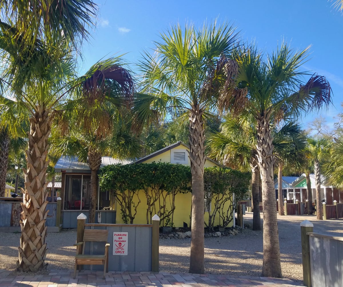 Red Snapper Shack at Sea Hag Marina in Steinhatchee