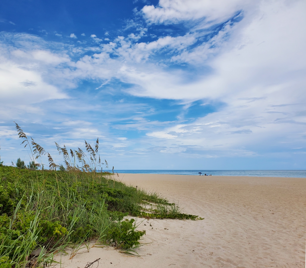South Beach in Vero Beach is a particularly wide and uncrowded swath of coastline