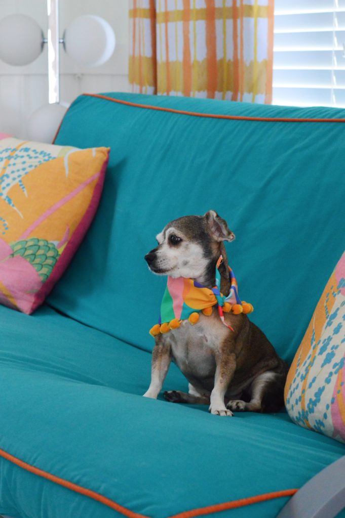 Couch Puppet See This Midcentury Hotel's Sparkling New Transformation: Sunset Inn ...